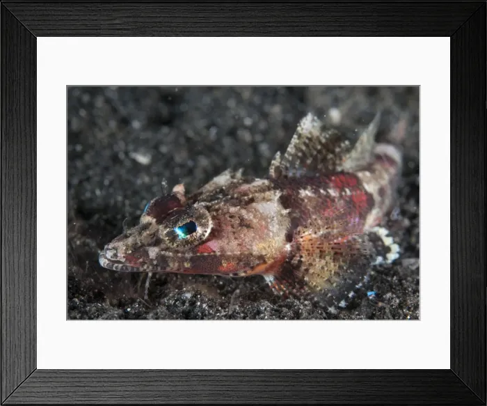 Framed Print : Picture No. 11091811 Framed Print : Picture No. 11091811
