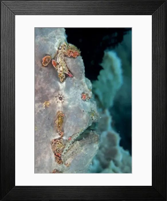 Framed Print : Picture No. 11091829 Framed Print : Picture No. 11091829