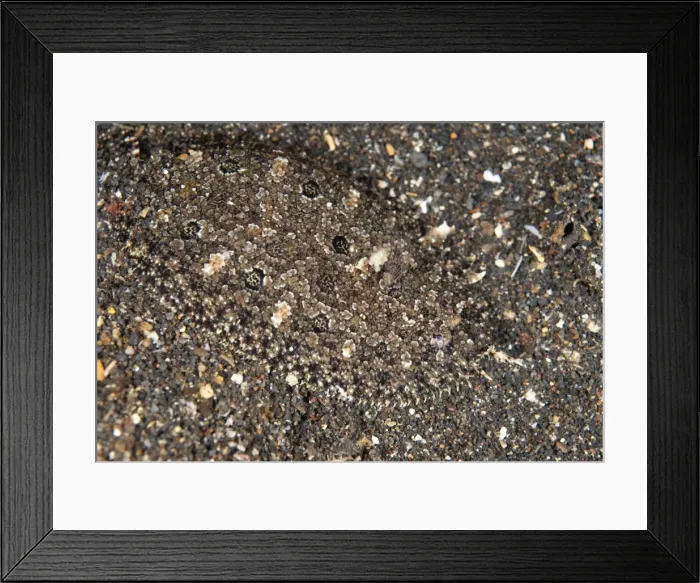 Framed Print : Picture No. 11091833 Framed Print : Picture No. 11091833
