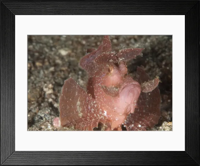 Framed Print : Picture No. 11091841 Framed Print : Picture No. 11091841