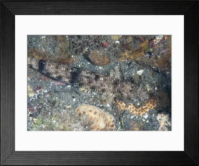 Framed Print : Picture No. 11091856 Framed Print : Picture No. 11091856