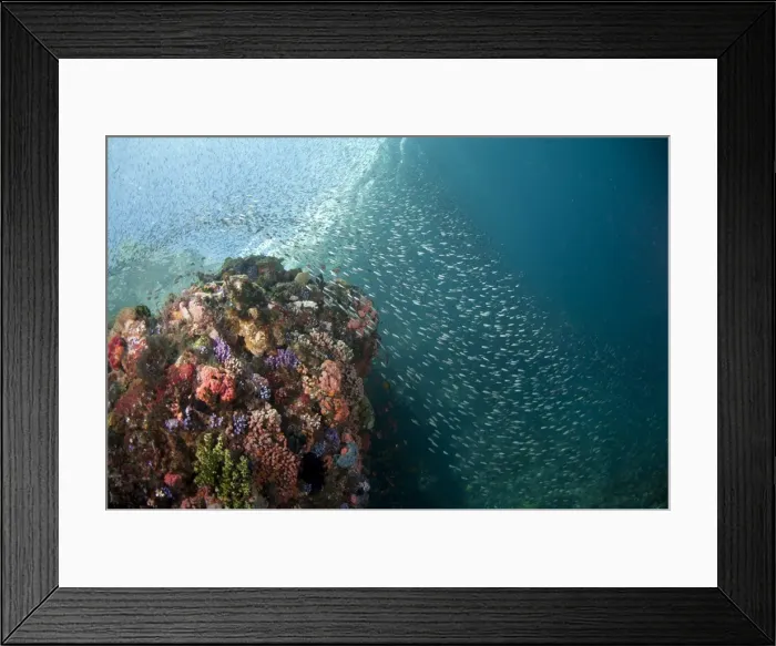 Framed Print : Picture No. 11091869 Framed Print : Picture No. 11091869