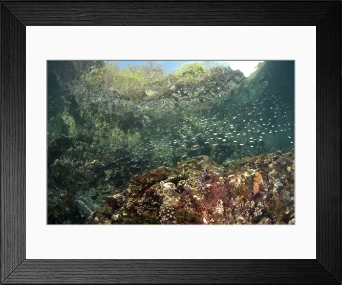 Framed Print : Picture No. 11091870 Framed Print : Picture No. 11091870