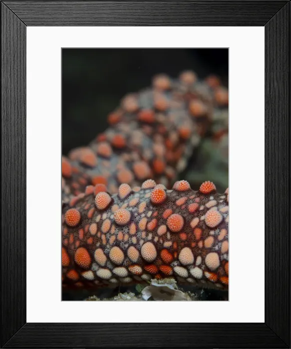 Framed Print : Picture No. 11091875 Framed Print : Picture No. 11091875