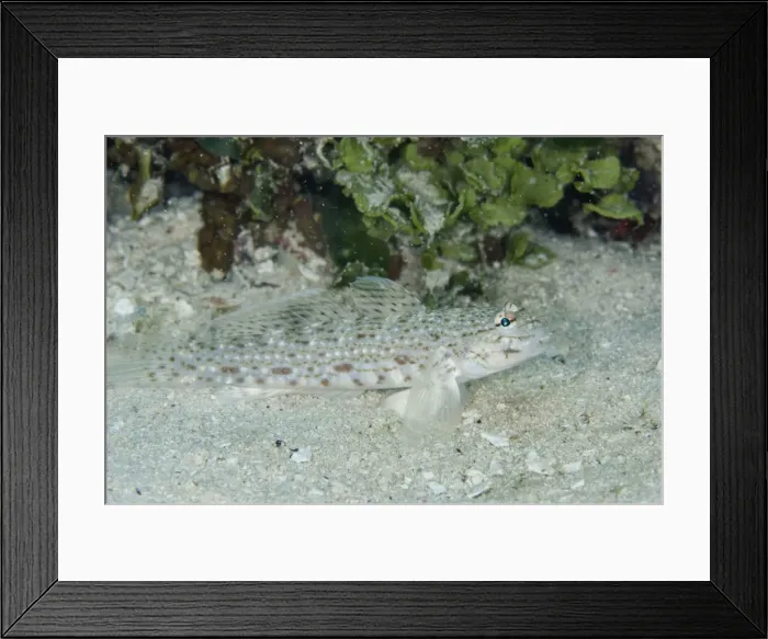 Framed Print : Picture No. 11091879 Framed Print : Picture No. 11091879