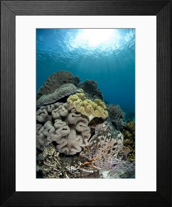 Framed Print : Picture No. 11091887 Framed Print : Picture No. 11091887