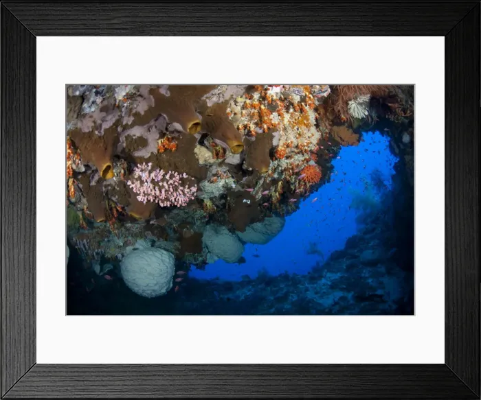 Framed Print : Picture No. 11091893 Framed Print : Picture No. 11091893