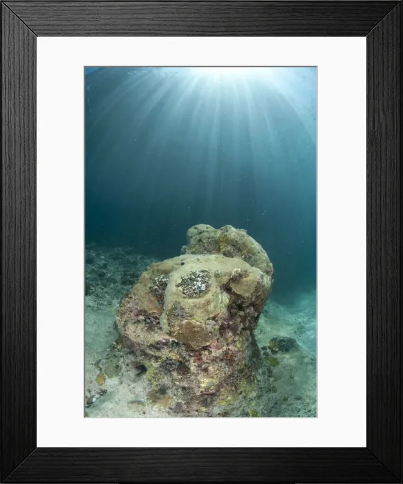Framed Print : Picture No. 11091898 Framed Print : Picture No. 11091898