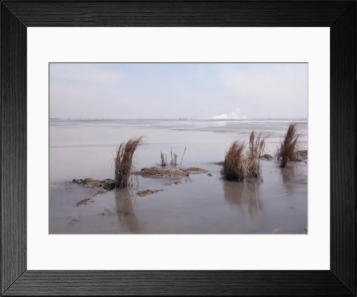 Framed Print : Picture No. 11091915 Framed Print : Picture No. 11091915