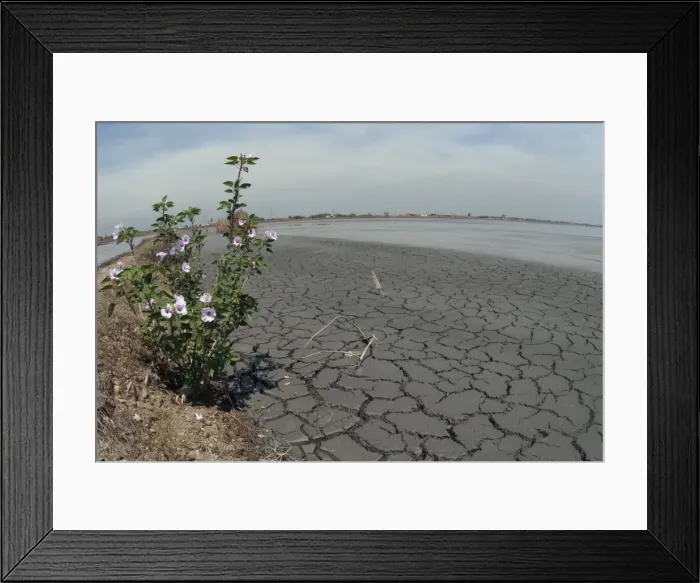 Framed Print : Picture No. 11091919 Framed Print : Picture No. 11091919