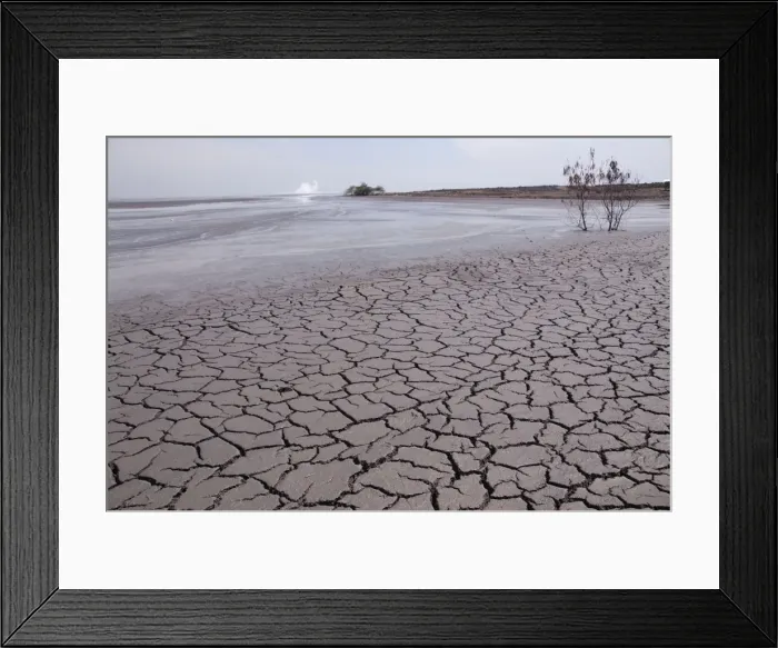 Framed Print : Picture No. 11091920 Framed Print : Picture No. 11091920