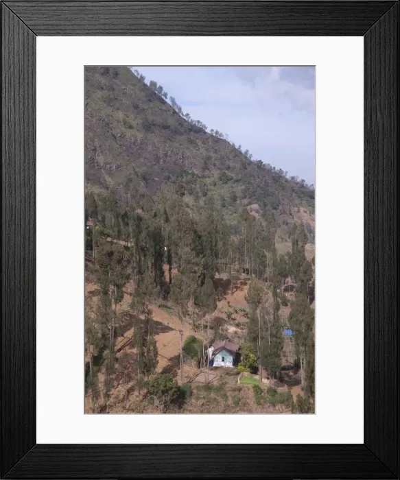 Framed Print : Picture No. 11091922 Framed Print : Picture No. 11091922