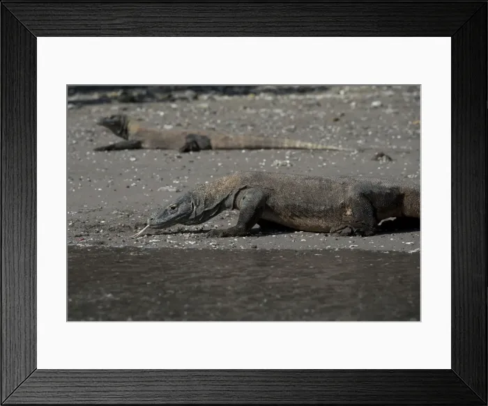 Framed Print : Picture No. 11091929