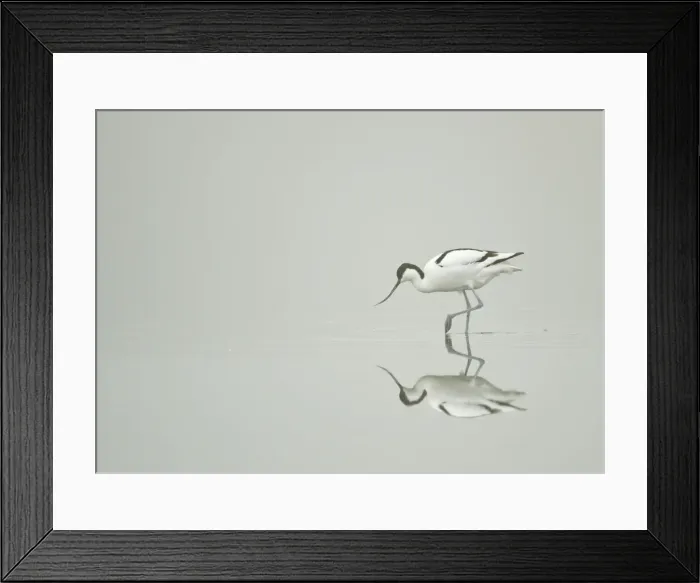 Framed Print : Picture No. 11091971 Framed Print : Picture No. 11091971