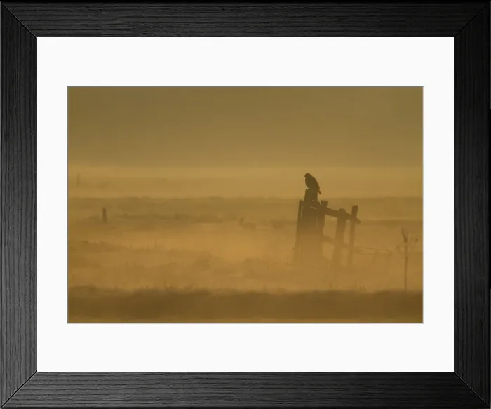 Framed Print : Picture No. 11092025 Framed Print : Picture No. 11092025