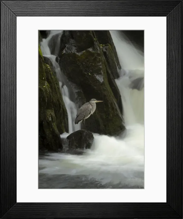 Framed Print : Picture No. 11091988 Framed Print : Picture No. 11091988
