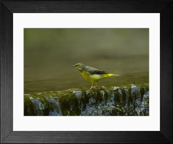 Framed Print : Picture No. 11091989 Framed Print : Picture No. 11091989