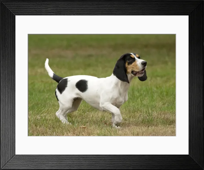Framed Print : Picture No. 11092036 Framed Print : Picture No. 11092036