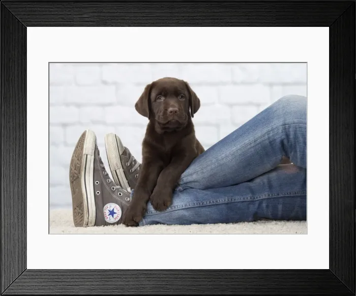 Framed Print : Picture No. 11092050 Framed Print : Picture No. 11092050