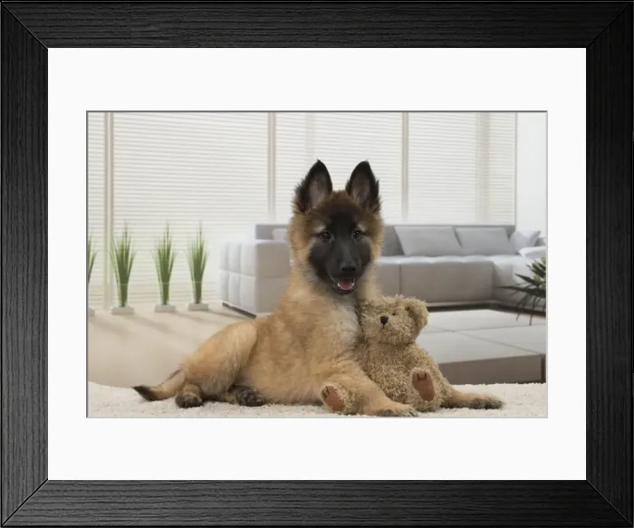 Framed Print : Picture No. 11092054 Framed Print : Picture No. 11092054