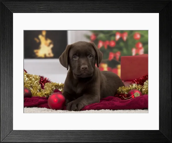 Framed Print : Picture No. 11092052 Framed Print : Picture No. 11092052