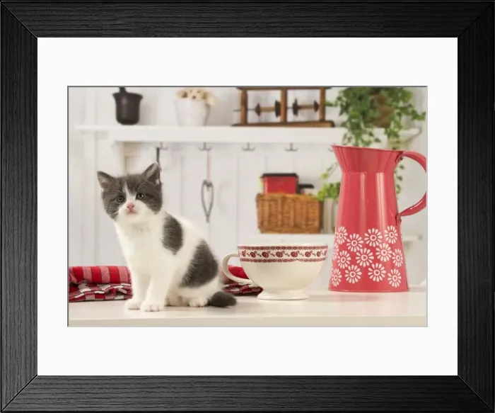 Framed Print : Picture No. 11092079 Framed Print : Picture No. 11092079
