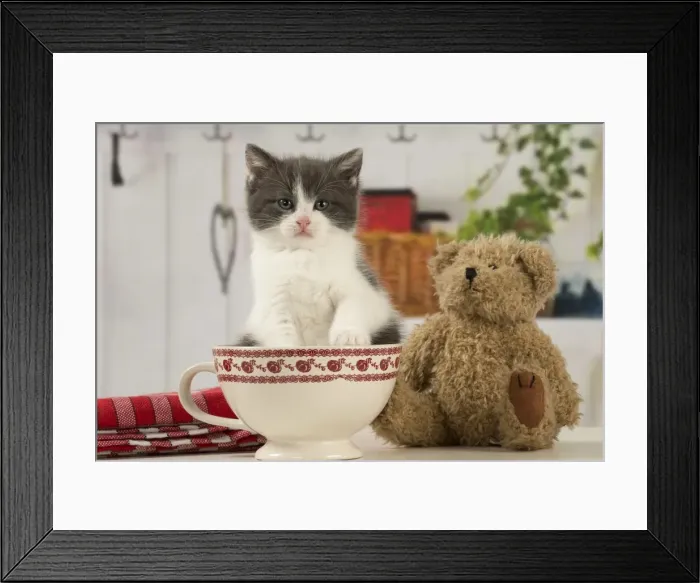 Framed Print : Picture No. 11092080 Framed Print : Picture No. 11092080