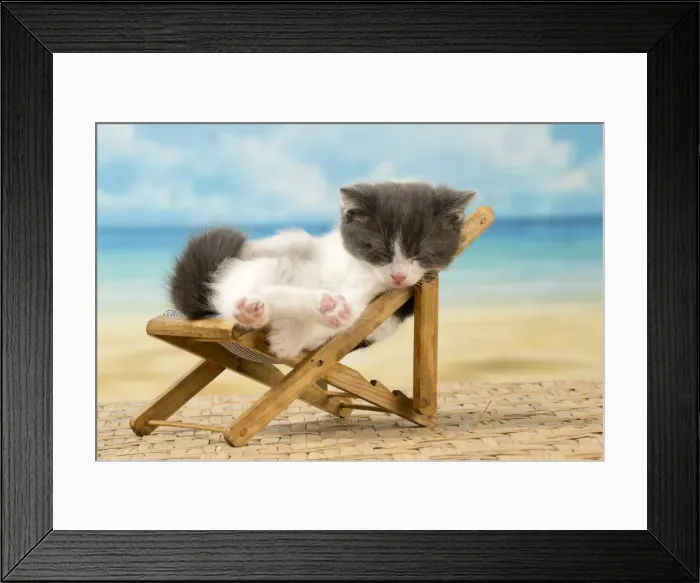 Framed Print : Picture No. 11092096 Framed Print : Picture No. 11092096