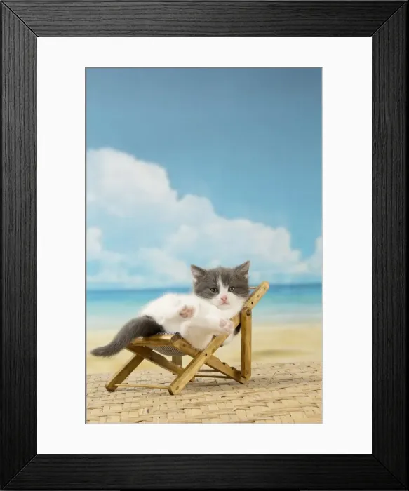 Framed Print : Picture No. 11092097 Framed Print : Picture No. 11092097