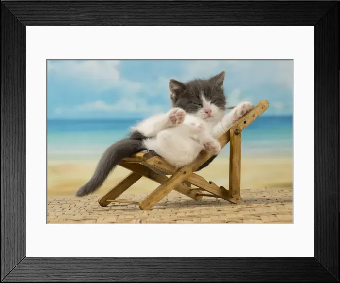 Framed Print : Picture No. 11092098 Framed Print : Picture No. 11092098