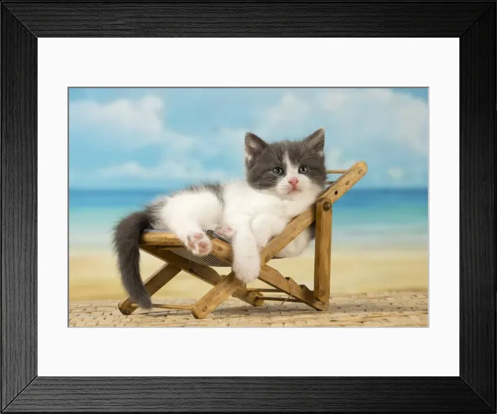 Framed Print : Picture No. 11092100 Framed Print : Picture No. 11092100
