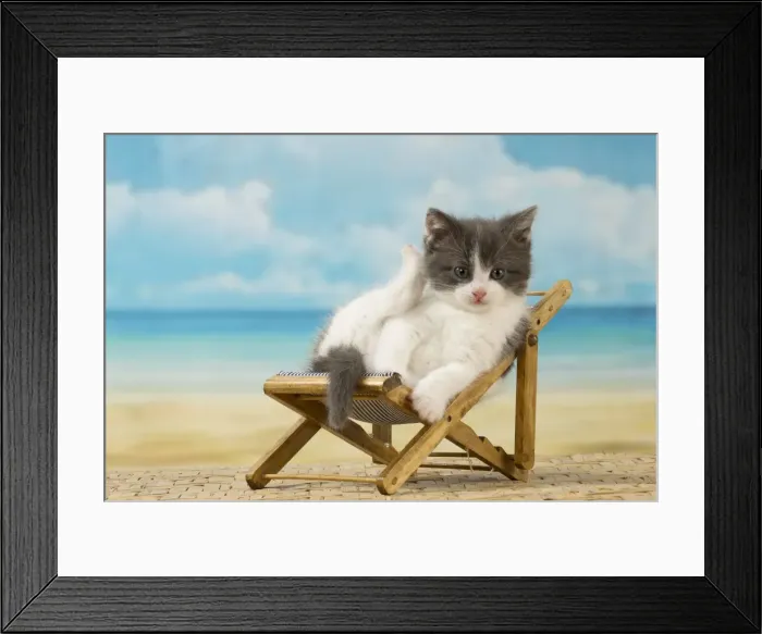Framed Print : Picture No. 11092102 Framed Print : Picture No. 11092102
