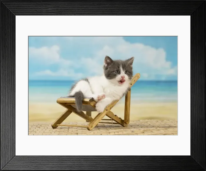 Framed Print : Picture No. 11092101 Framed Print : Picture No. 11092101