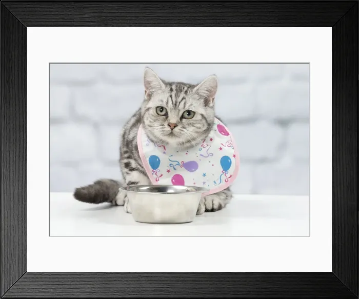 Framed Print : Picture No. 11092109 Framed Print : Picture No. 11092109