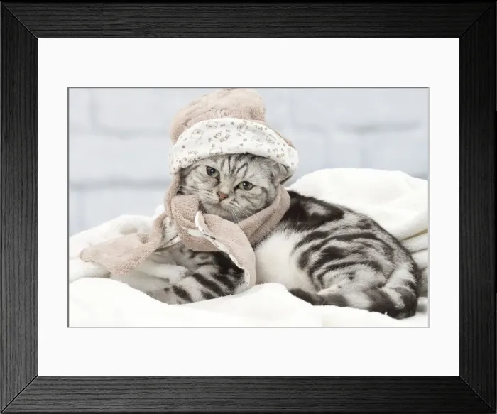 Framed Print : Picture No. 11092110