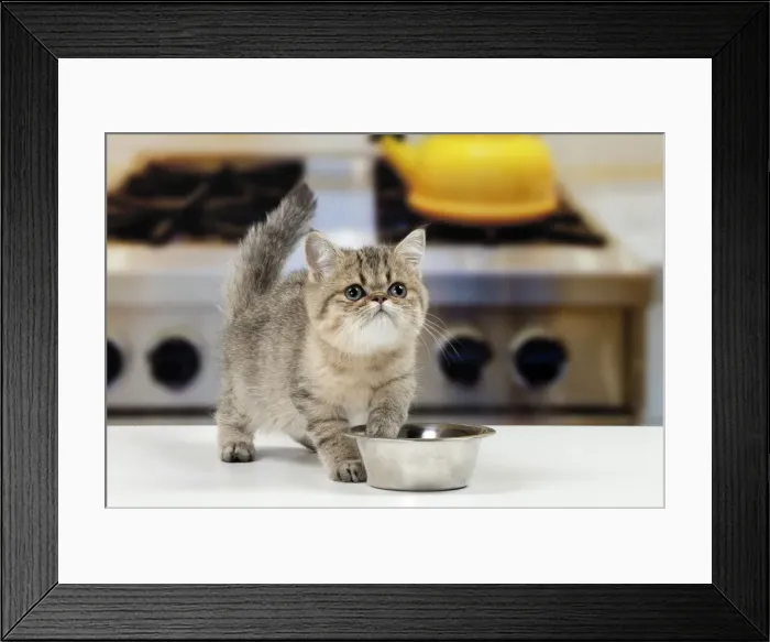 Framed Print : Picture No. 11092145 Framed Print : Picture No. 11092145