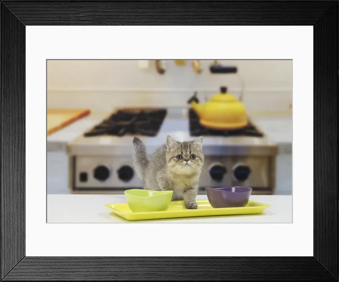Framed Print : Picture No. 11092144 Framed Print : Picture No. 11092144