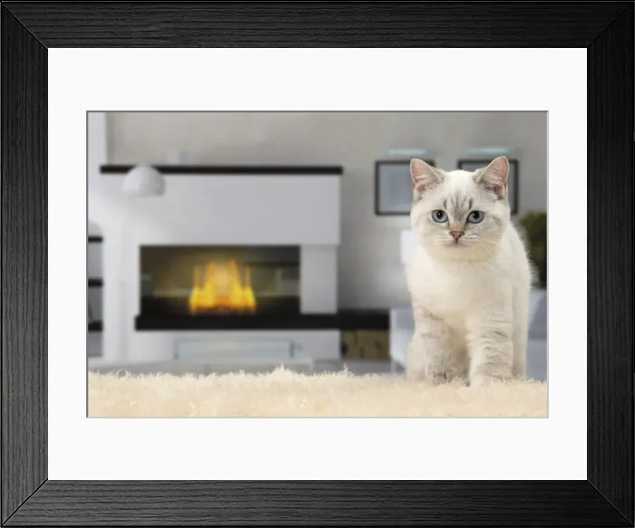 Framed Print : Picture No. 11092162 Framed Print : Picture No. 11092162