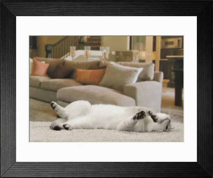 Framed Print : Picture No. 11092166 Framed Print : Picture No. 11092166