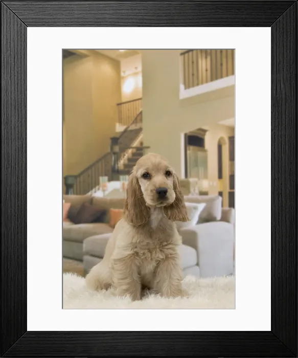 Framed Print : Picture No. 11092183 Framed Print : Picture No. 11092183