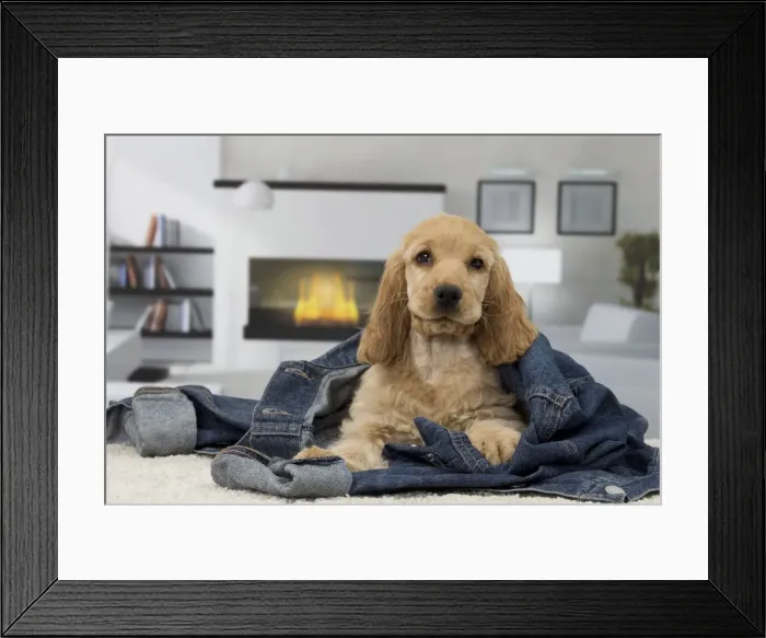 Framed Print : Picture No. 11092186 Framed Print : Picture No. 11092186
