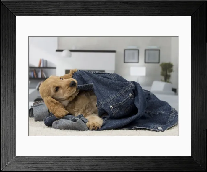 Framed Print : Picture No. 11092187 Framed Print : Picture No. 11092187