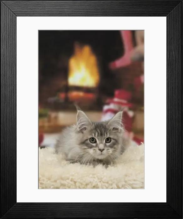 Framed Print : Picture No. 11092198 Framed Print : Picture No. 11092198