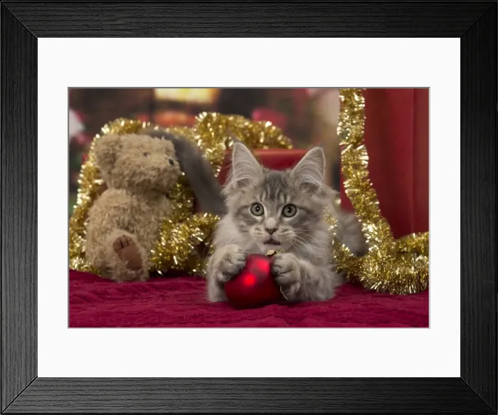 Framed Print : Picture No. 11092197 Framed Print : Picture No. 11092197