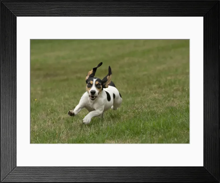 Framed Print : Picture No. 11092200 Framed Print : Picture No. 11092200