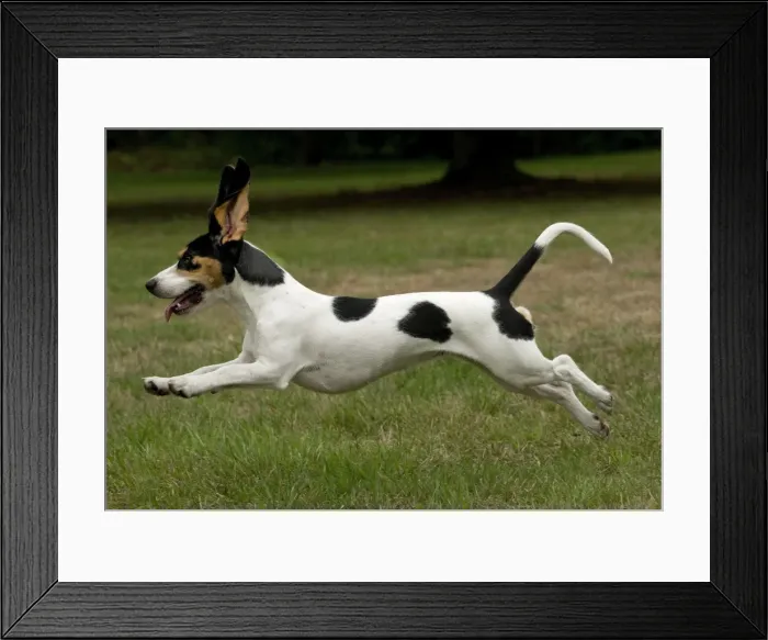 Framed Print : Picture No. 11092199 Framed Print : Picture No. 11092199