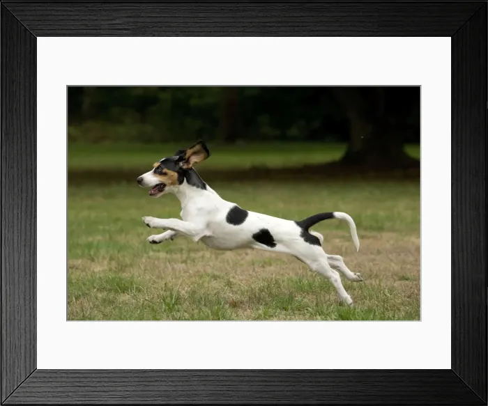 Framed Print : Picture No. 11092201 Framed Print : Picture No. 11092201