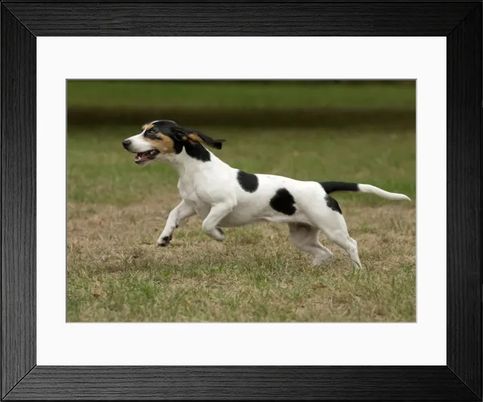 Framed Print : Picture No. 11092202 Framed Print : Picture No. 11092202