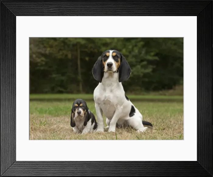 Framed Print : Picture No. 11092207 Framed Print : Picture No. 11092207