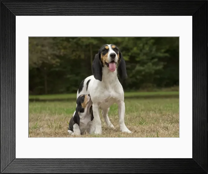 Framed Print : Picture No. 11092208 Framed Print : Picture No. 11092208